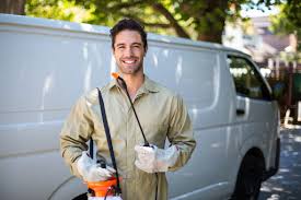 Best Termite Inspection and Treatment  in Bear Creek, FL